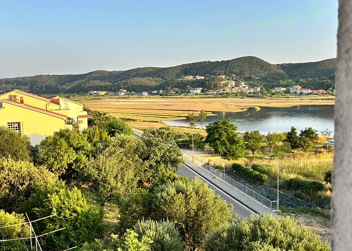 Pljesa *